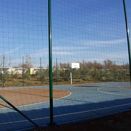 Monium Novigrad (Istria)