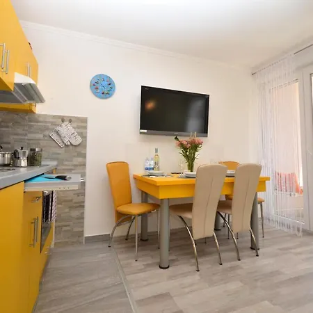 Monium Novigrad Istria